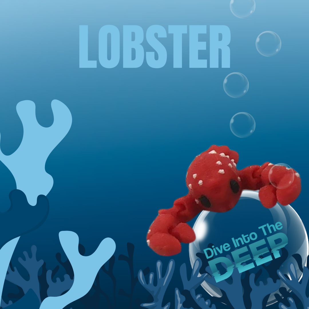 3D Studio Gifts - Vente Fidget/jouet anti-stress – enfant - Miniatures marines 3D imprimées SEA JIGGLETS (présentoir comptoir)9