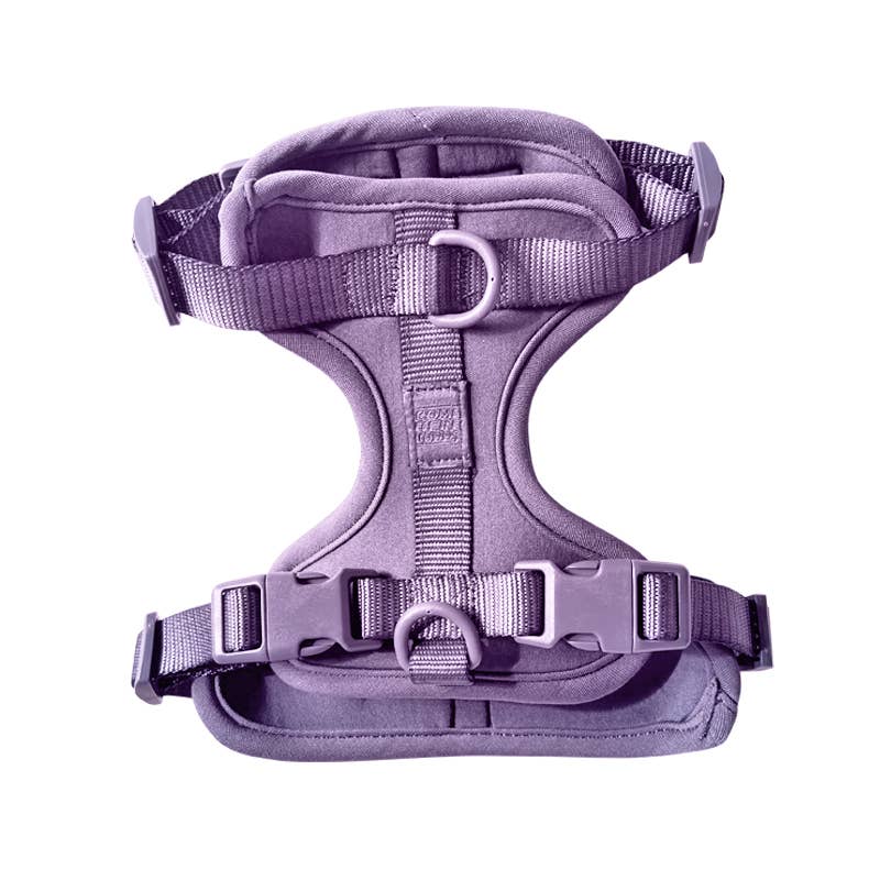 Come Here Buddy – Großhandel Haustiergeschirr – Hund – Leichter, verstellbarer gepolsterter Hundegeschirr8
