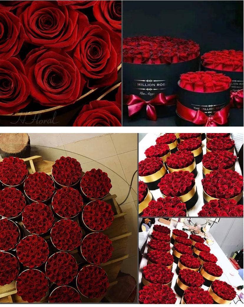 Modern Memory Design Picture Frames - Wholesale Gedroogde/geperste bloemen - 12 Rode Rozen Geconserveerd in Zwarte Doos - Valentijnsdagcadeau4