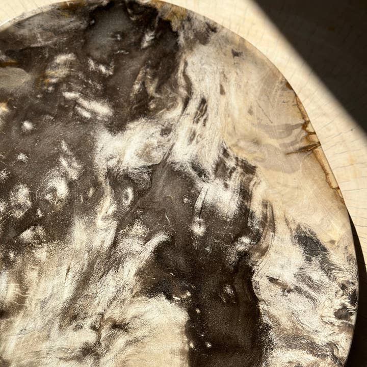 Office Objets - Wholesale Decorative Plate/Dish/Bowl - Very large catchall or dish in petrified wood45