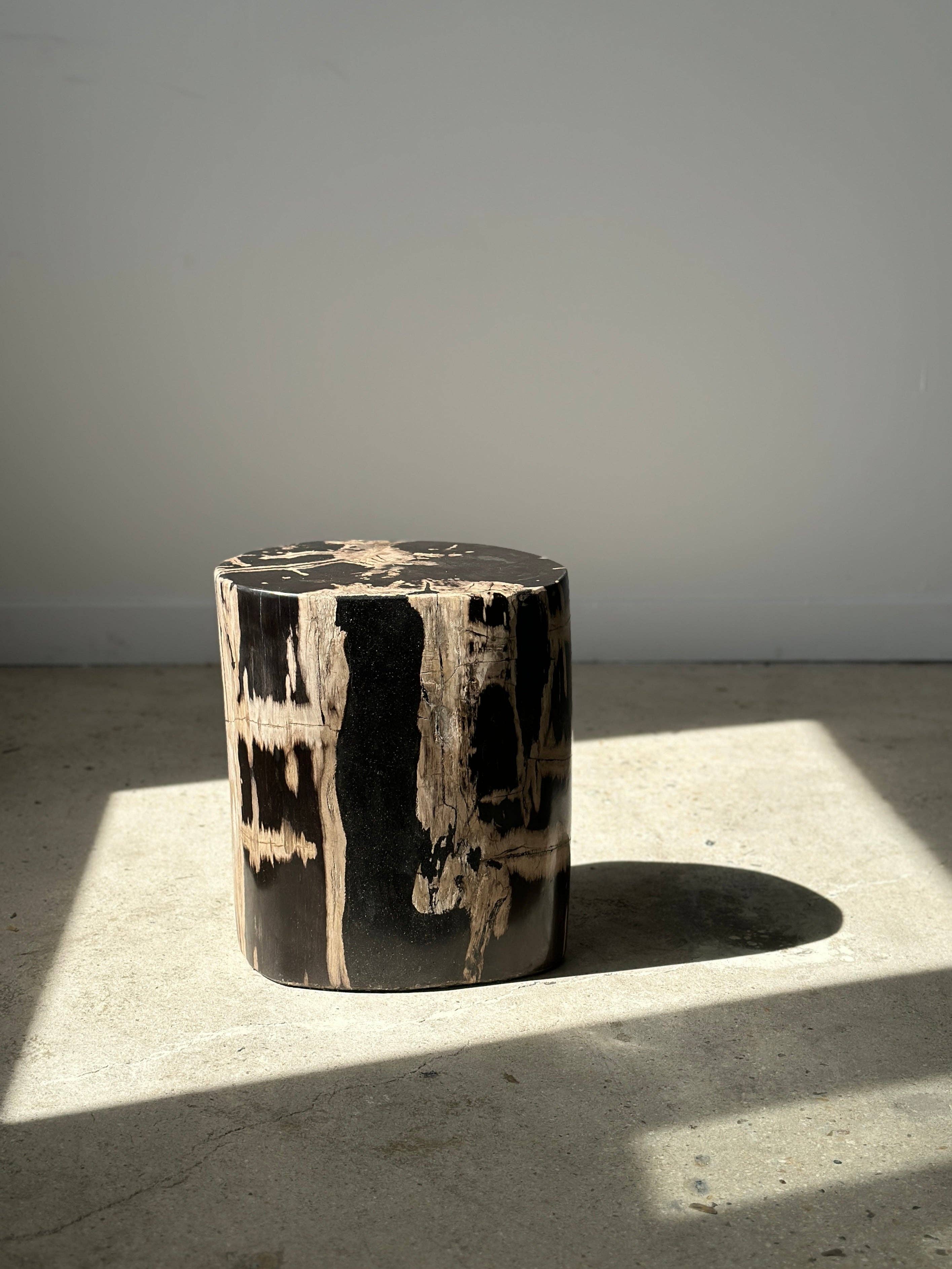 Office Objets - Vente Tables d'appoint - Table d'appoint en bois pétrifié44