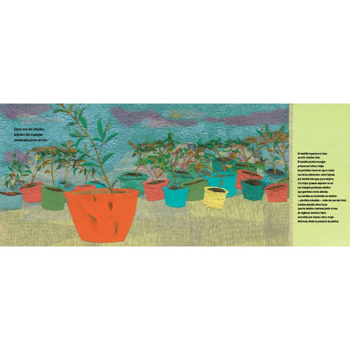 Lee & Low Books Inc - Wholesale Nature & Outdoors - El mangle by Susan L. Roth & Cindy Trumbore2