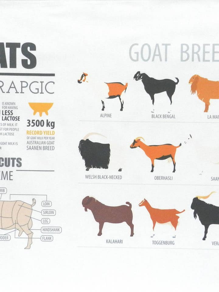 Infographie Chèvre - Grand torchon en coton pour la vente par Half a Donkey