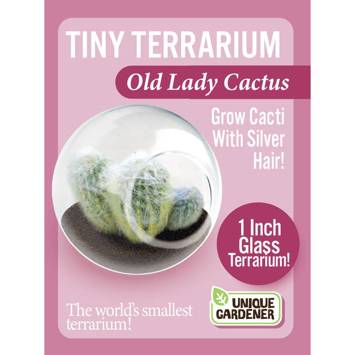 Silver Circle Products - Wholesale Retailer Display - Home & Living - Tiny Terrarium Cactus Counter Display with 3 Varieties 1