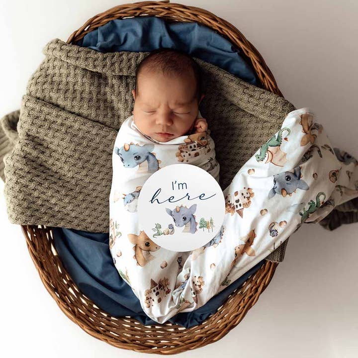 Snuggle Hunny - Wholesale Swaddle Set - Baby - Dragon Organic Jersey Wrap & Beanie Set6