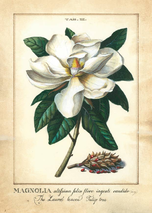 Bomo Art Budapest - Wholesale Everyday Greeting Card - Greeting Card + Envelope42