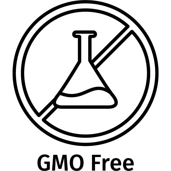 Alive Ferments - Wholesale Hot Sauce - Living Fermented Hot Sauce - Habanero6