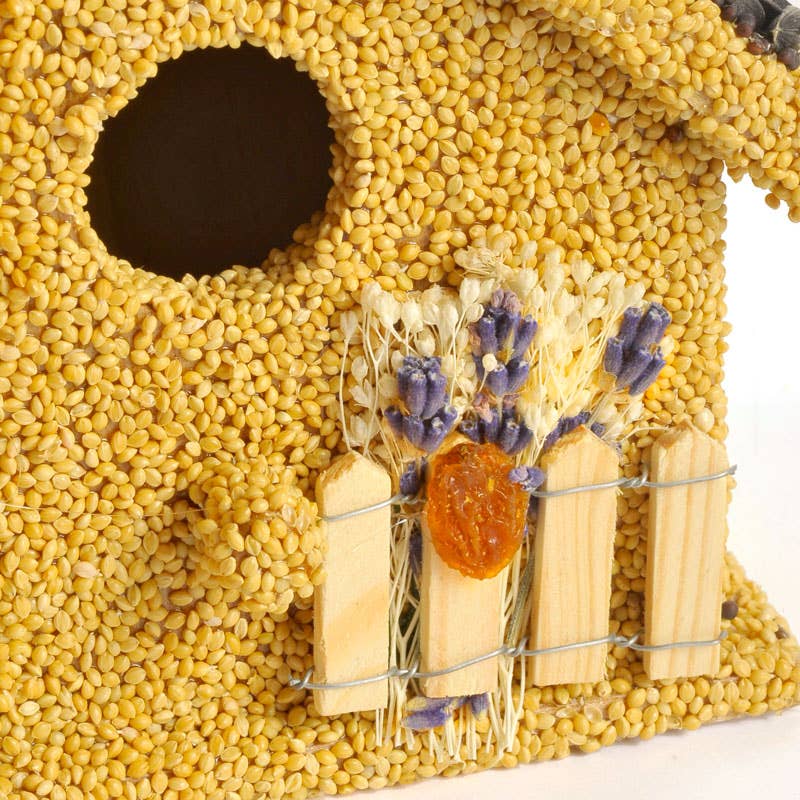 Mr Bird - Wholesale Bird House - Birdie Cottage All Season3