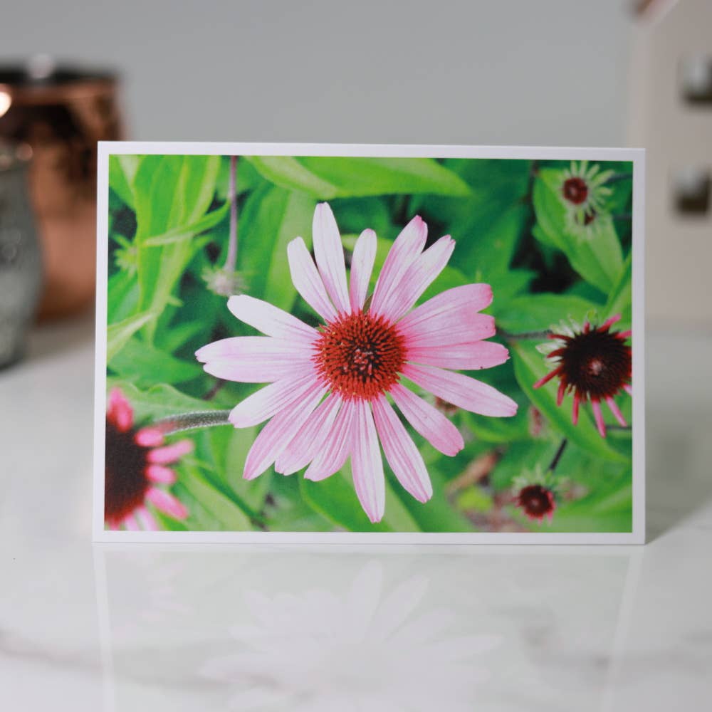 New England Prints - Wholesale Stationery/Notecard Set - Box of 5 All Occasion Summer Bloom Blank Note Cards6