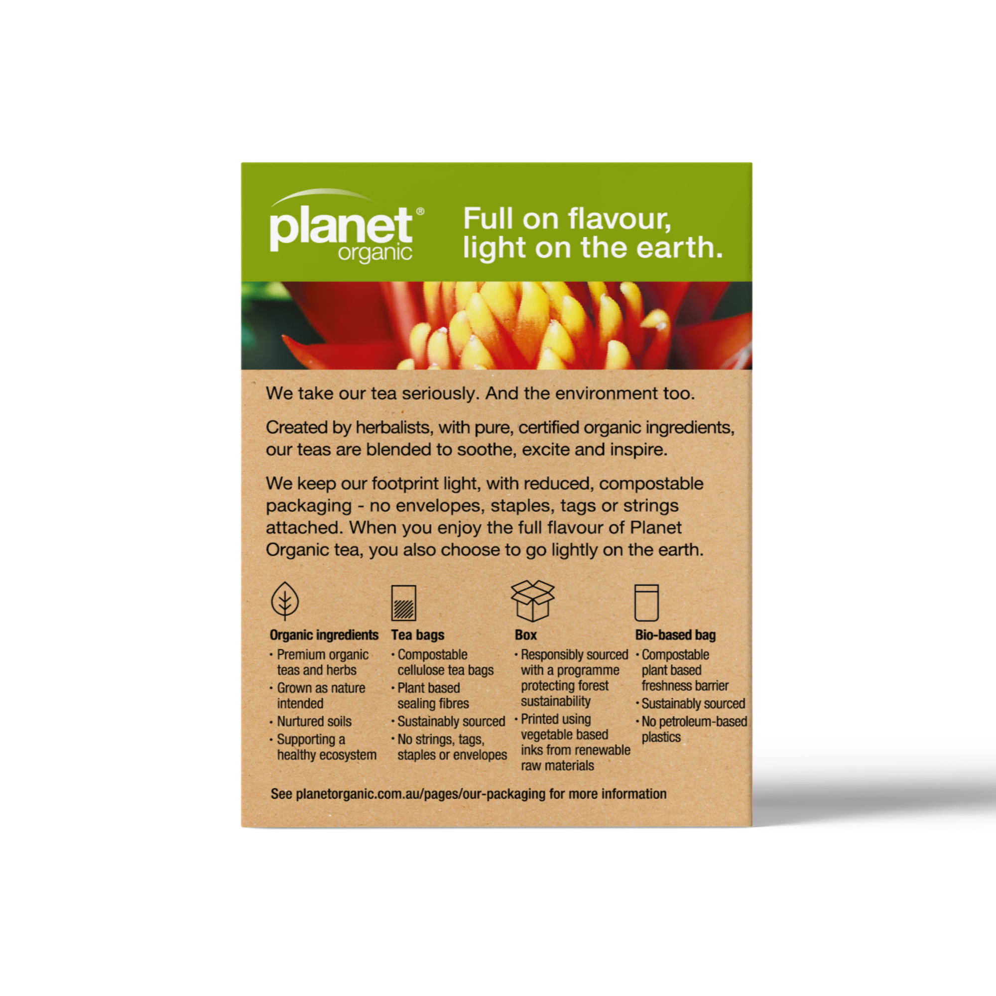 Planet Organic - Wholesale Tea Bags - Ginger Tea Bags2