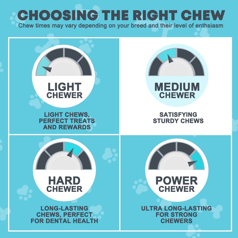 Hotspot Pets - Wholesale Pet Treats - Dog - 12'' All Natural Premium Bully Sticks Dog Treats, 10 Count5