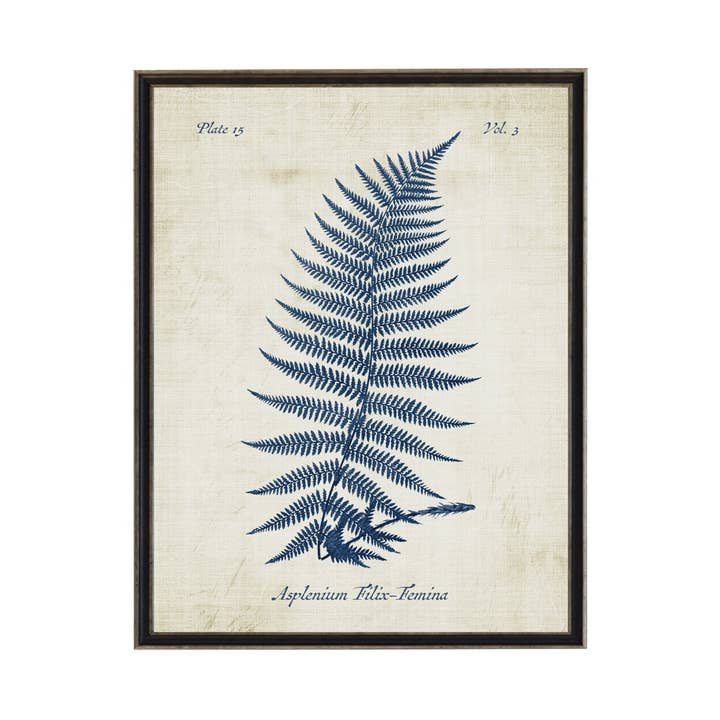 Helecho azul marino sobre fondo desgastado para venta al por mayor de Antique Curiosities Inc