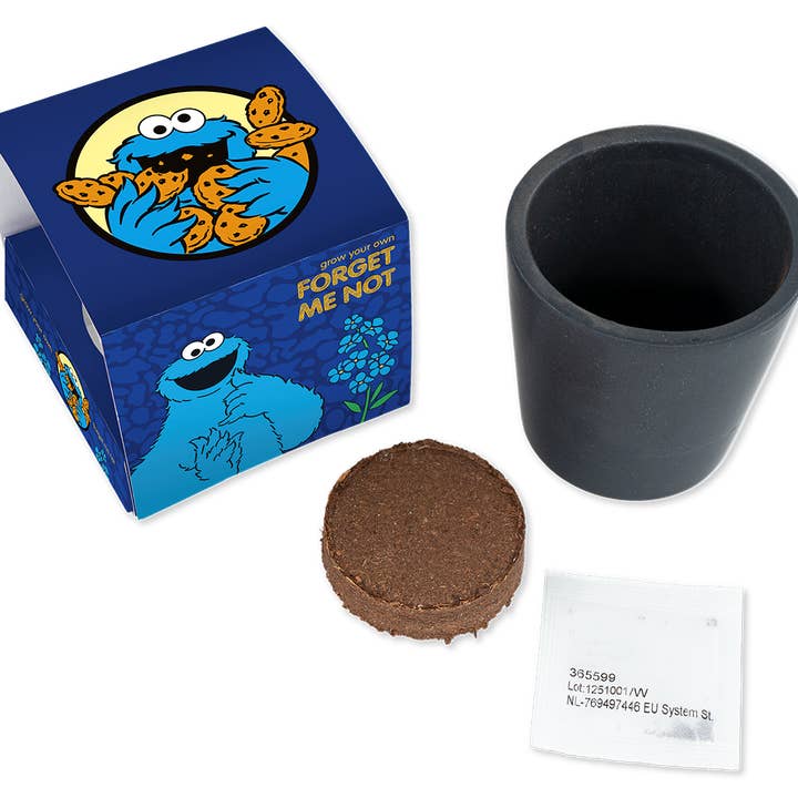 Sesame Street Ceramic Pot Cookie Monster for wholesale by Philos Green Products