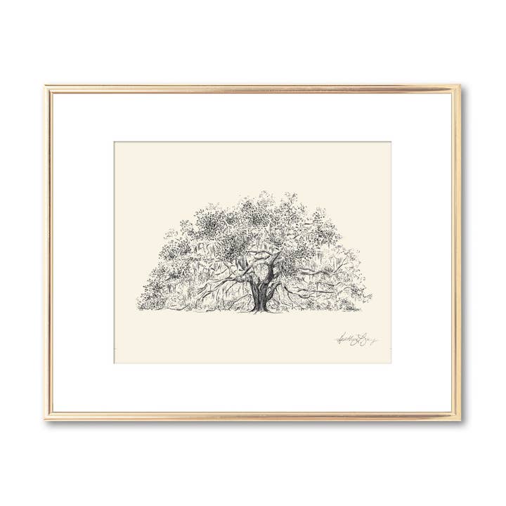 Majestic Oak Tree Fine Art Print - Nature Inspired Botanical for wholesale by Fly Young Studio