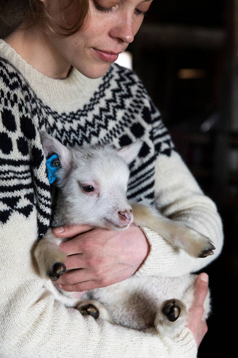 Laine Publishing - Wholesale Crafts, hobbies & DIY book - Tukubook2