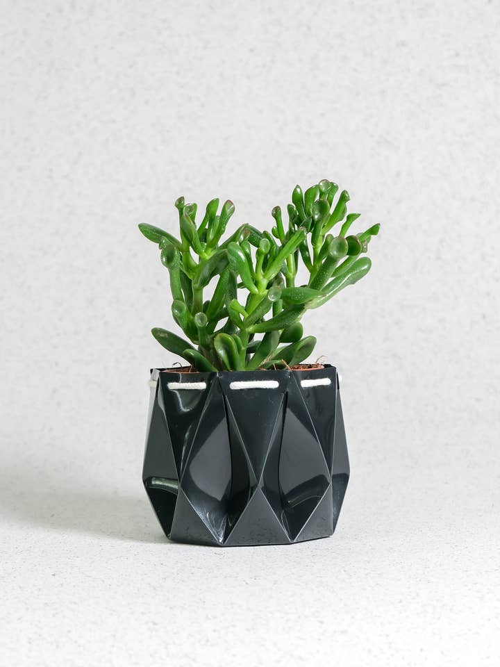 11cm Self-watering Ocean Pot | Midnight Green for wholesale by POTR