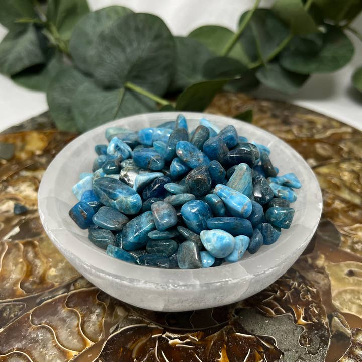 Schegge di Apatite Blu Levigate per la vendita all'ingrosso da parte di The Crystal Tabby