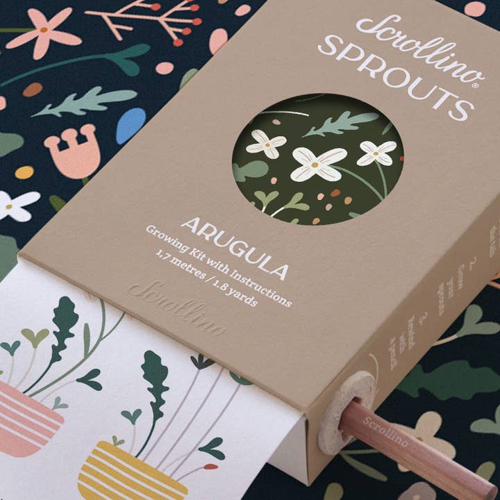Scrollino - Wholesale DIY Craft Kit - Kids - Original Activity & Growing Kit - Scrollino Arugula Sprouts5