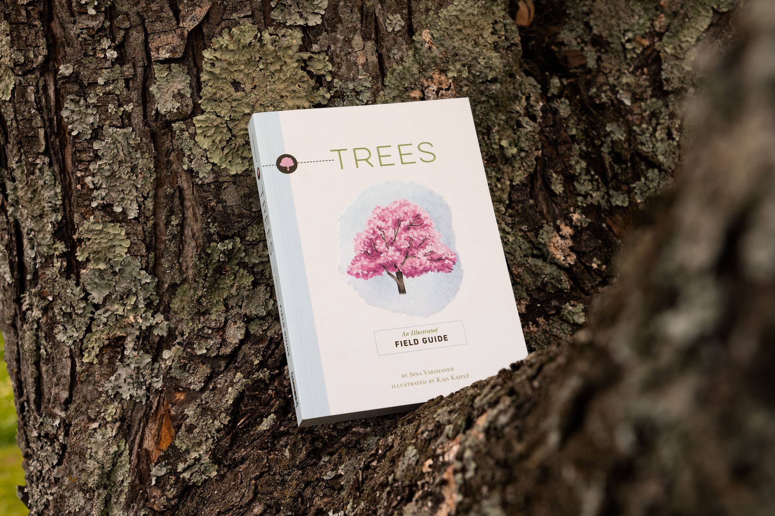 HarperCollins Focus - Wholesale Nature & Outdoors - Trees: An Illustrated Field Guide1