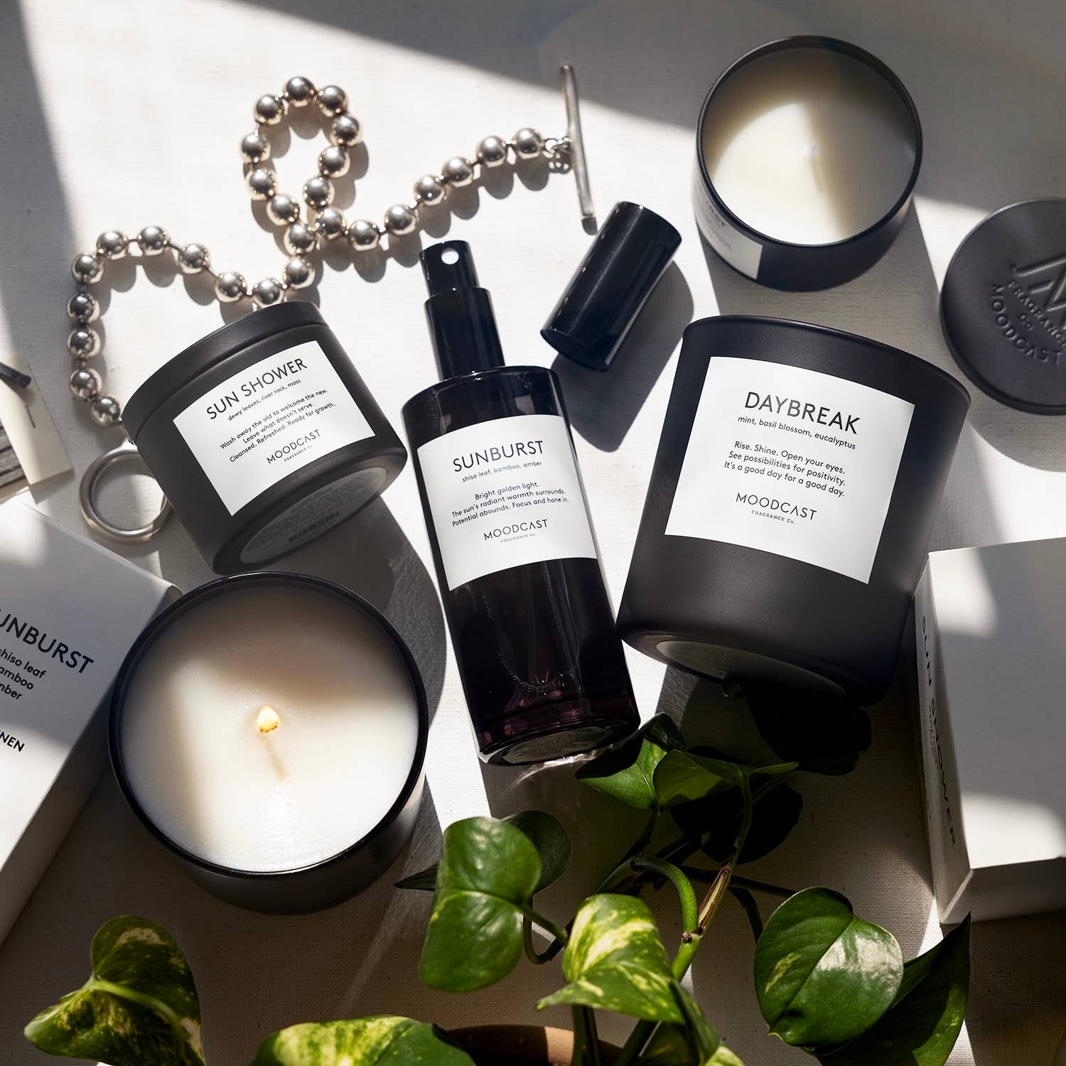 Moodcast Fragrance Co. - Wholesale Hand Soap/Wash - Vegan Hand Soap - Night & Day - Daybreak - 10 oz Pump Bottle2