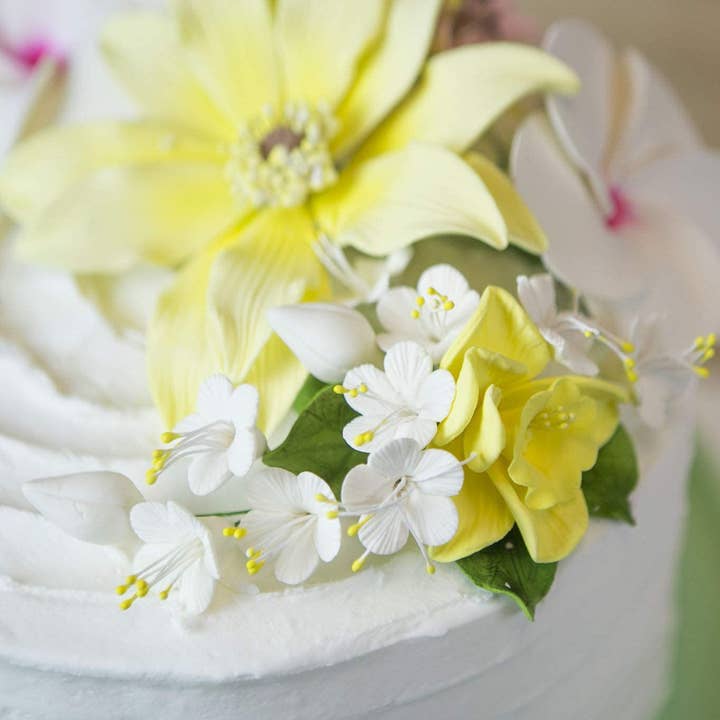 Global Sugar Art - Wholesale Cake/cupcake topper - Cherry Blossom Sugar Cake Flower Spray, by Global Sugar Art, White3