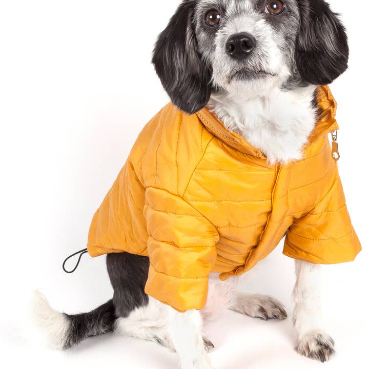 Pet Life – Engroshandel Overtræk - Hund – Letvægts Justerbar 'Sporty Lavine 'Pet Coat5