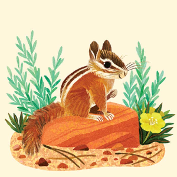 Penguin Random House LLC - Wholesale Brain Game - Kids - Animals of the NP Travel Match3