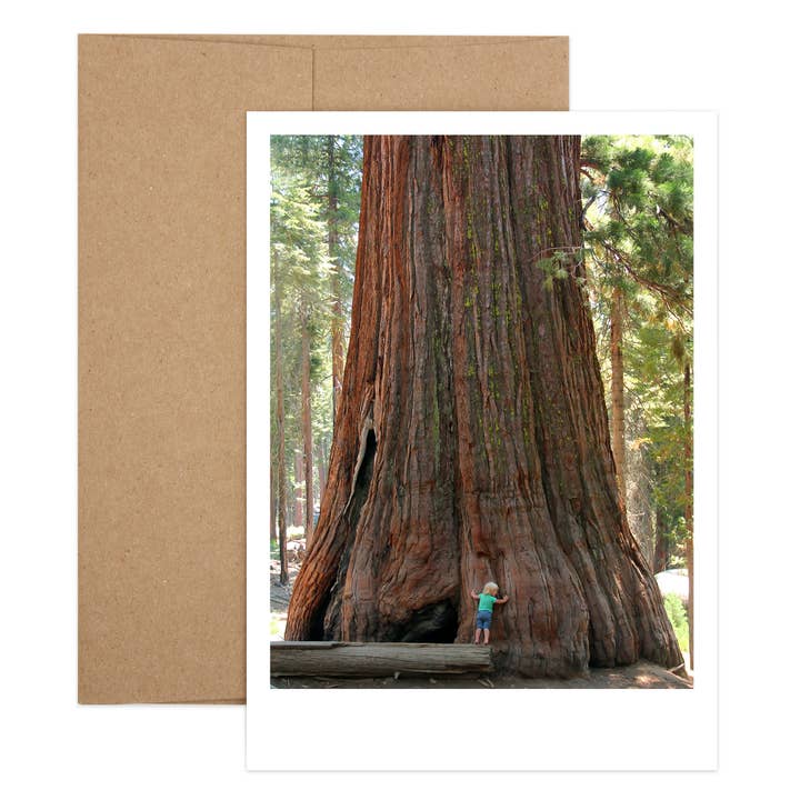 Big Redwood Obrigado por atacado de Salty Dog Publishing