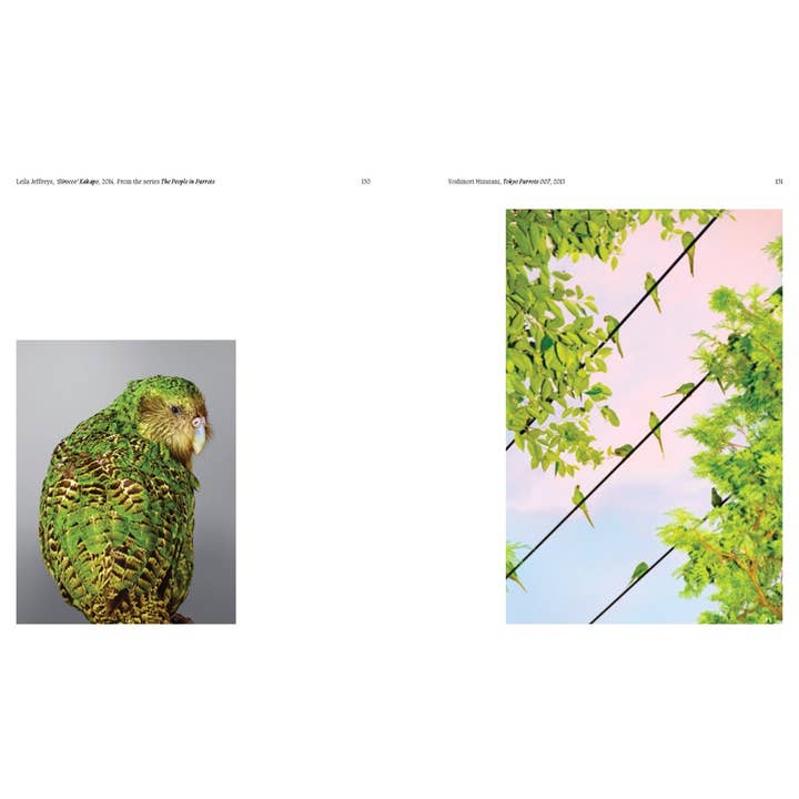 W. W. Norton - Wholesale Display Book - Aviary: The Bird in Contemporary Photography9