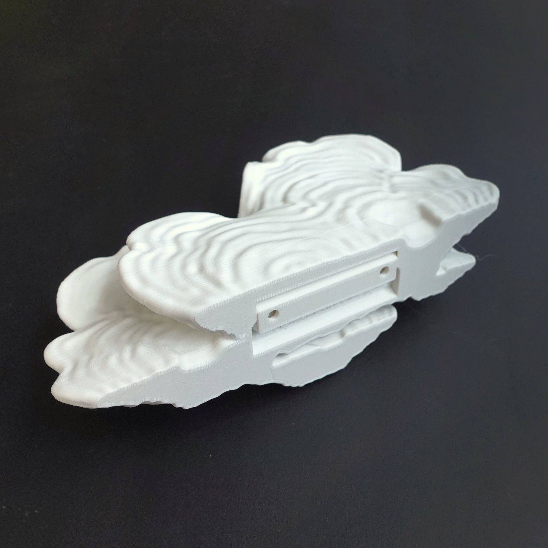 Brehmwood Creative - Wholesale Wall Mounted Shelf - Shimmering Ostrea Floating Shelf - Unique Fungus Design in 6 Colors, Perfect Home Decor6