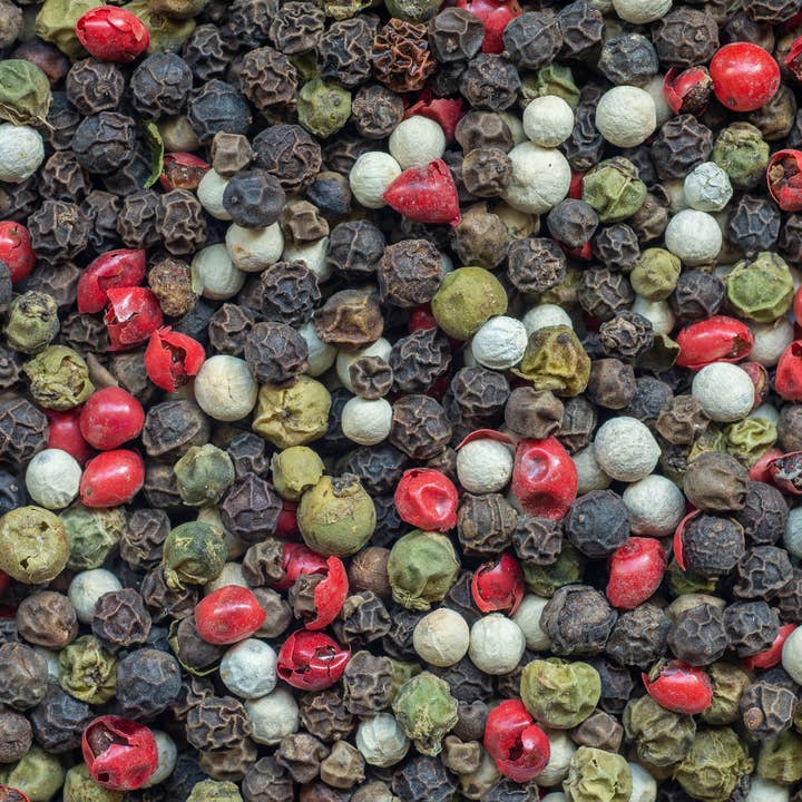 Regnbue Peberkorn for engroshandel hos Timbo’s Spice