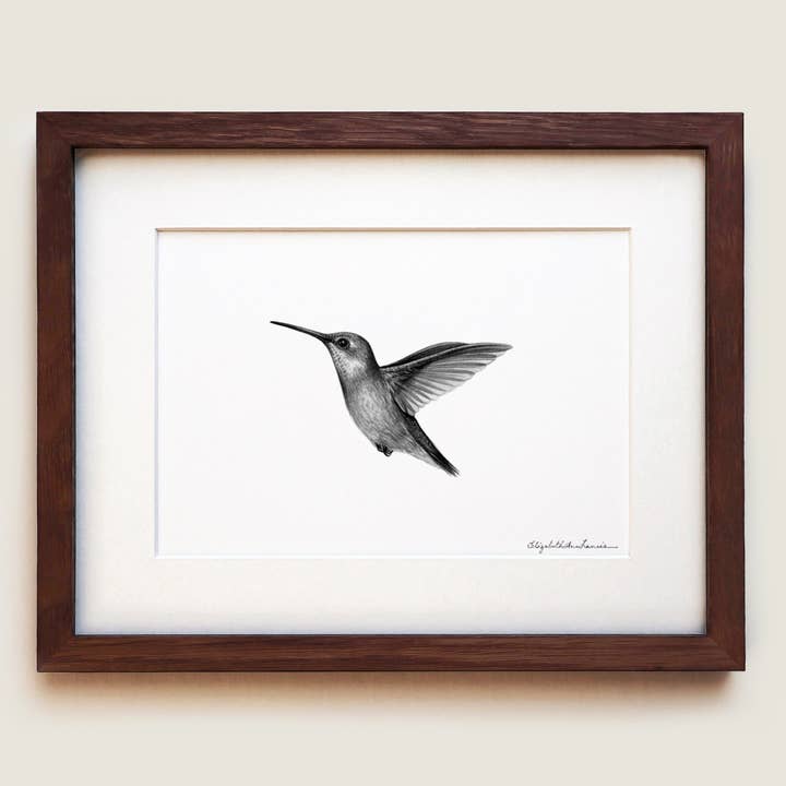 Ruby-throated Hummingbird | Fine Art Print for wholesale by ElizabethAnnFrancis