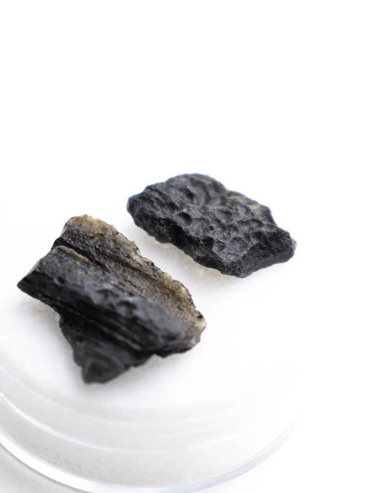 Tektite for wholesale by Stemcell Science Shop