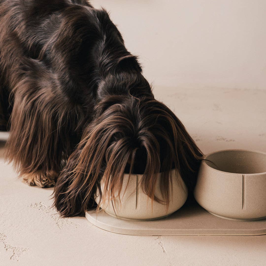 PINO - Wholesale Drinkbak - Kat/Hond - Trays voor honden25