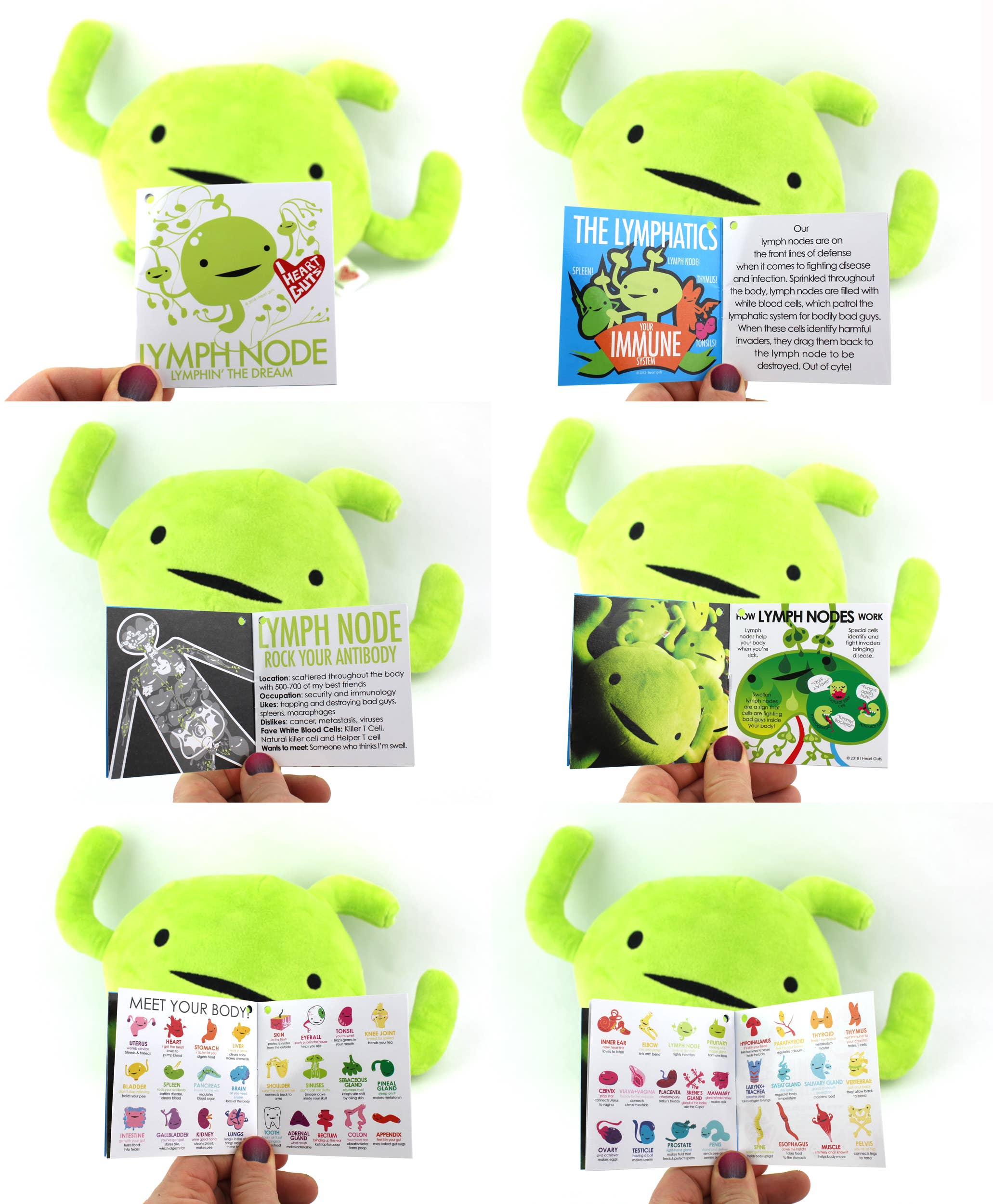 I Heart Guts | Organ Plushies Wholesale – wholesale Stuffed/plush toy – Kids & baby – Lymph Node Plush - Rock Your Antibody7