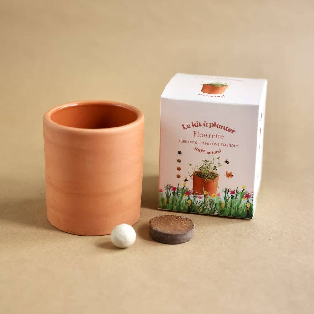 Flowrette - Wholesale Plant Seeds - Planting kit5