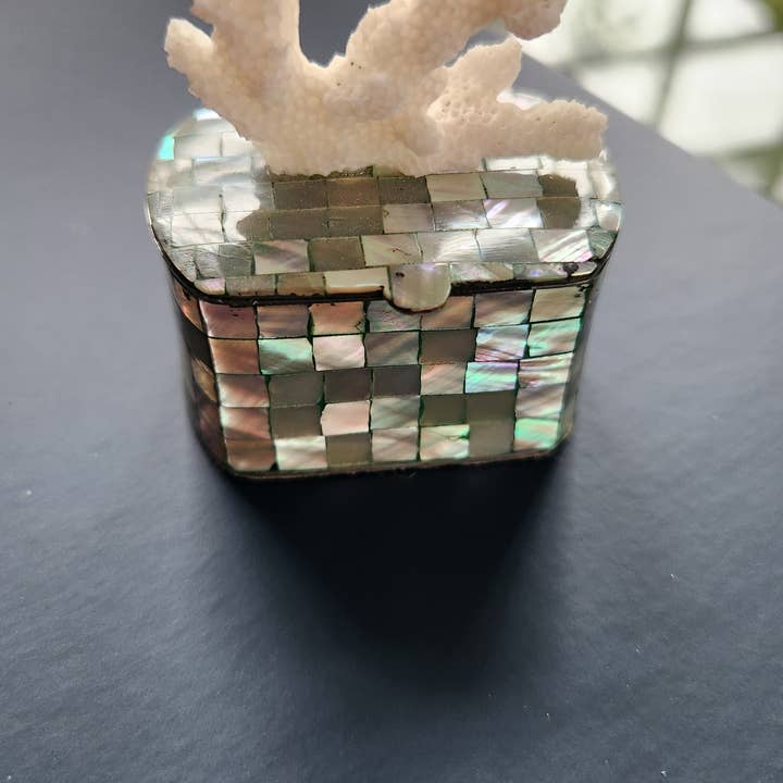White Tulip Boutique - Wholesale Decorative Box - Mini Abalone MOP Shell Trinket Pill Box6