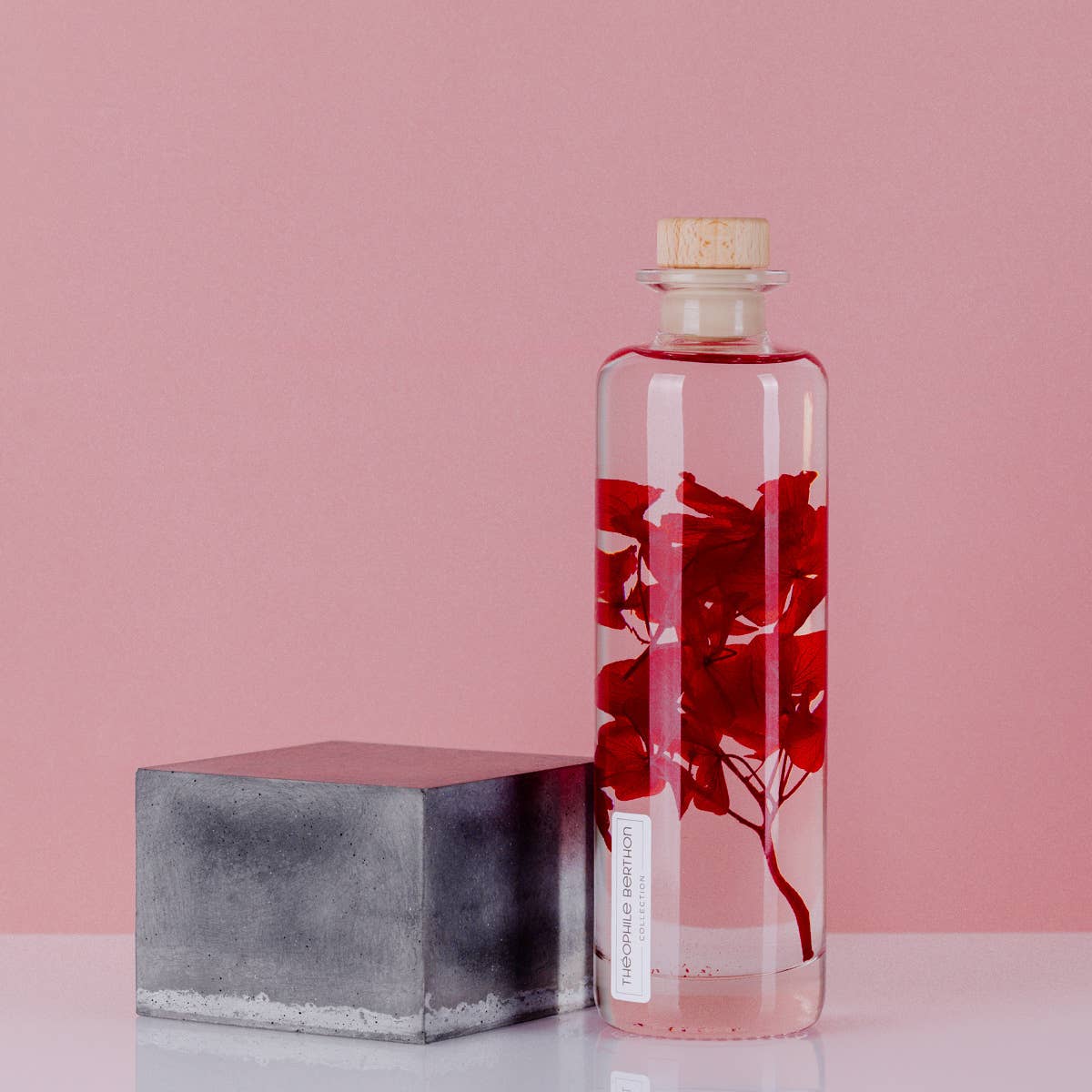 Theophile Berthon - Vente Plante - L'Herbarium Hortensia rouge Passion éternel11