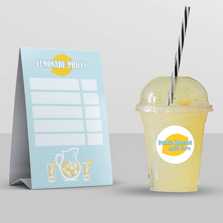 The Paxton Press - Wholesale DIY craft kit – Child - D.I.Y. Lemonade Stand Kit2