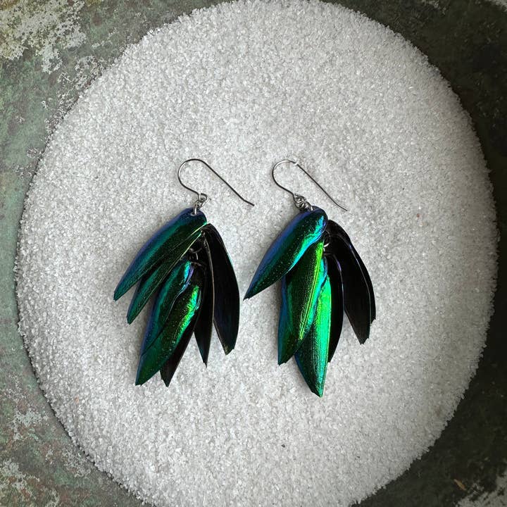 Isms – wholesale Dangle earrings – Green Real Beetle Wing Earrings - Wings of Invasive Elytra Beetles - Surgical Steel
