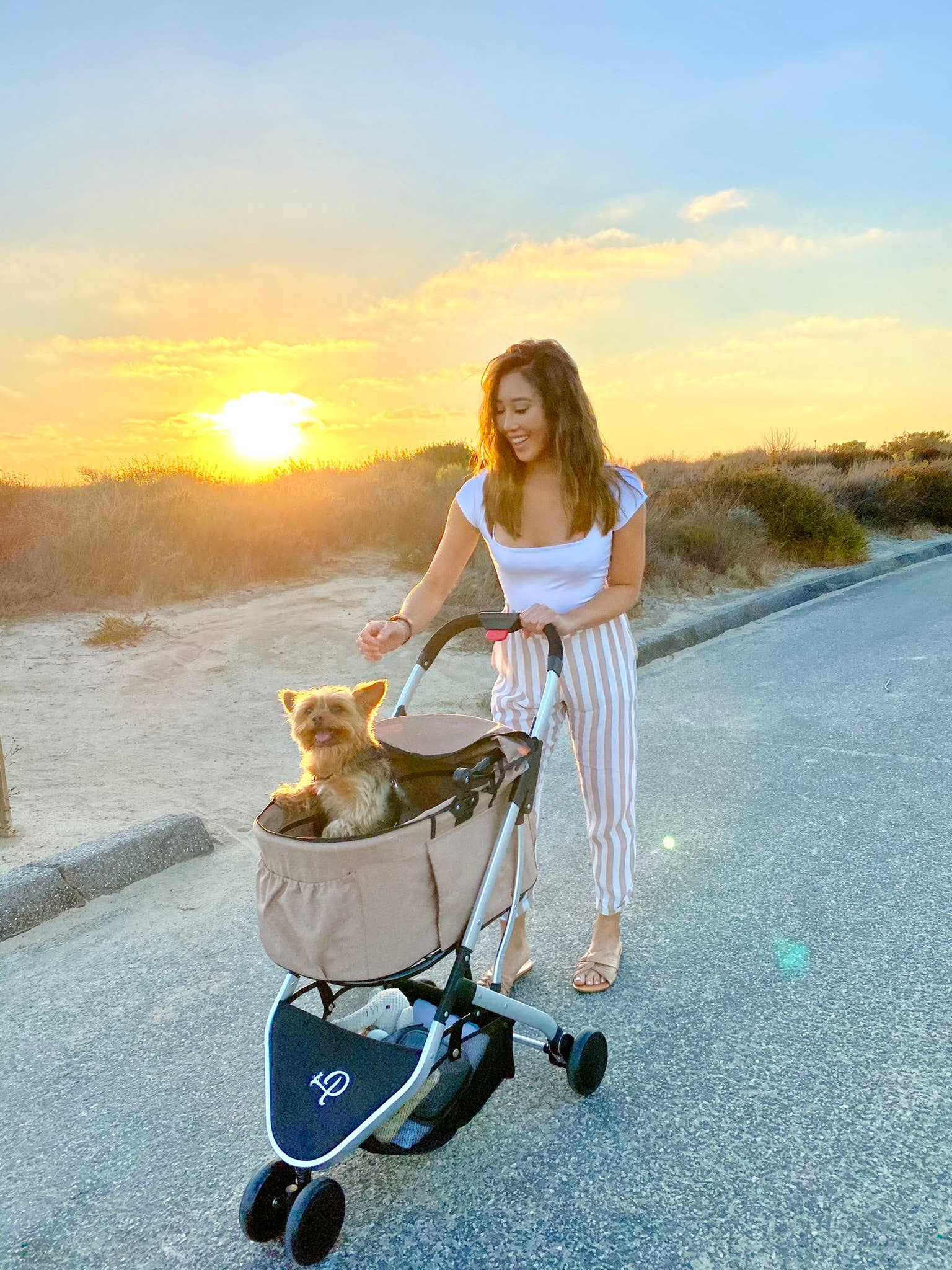 Petique - Wholesale Pet Carrier - Cat/Dog - Newport Pet Stroller (3-in-1 Travel System)19