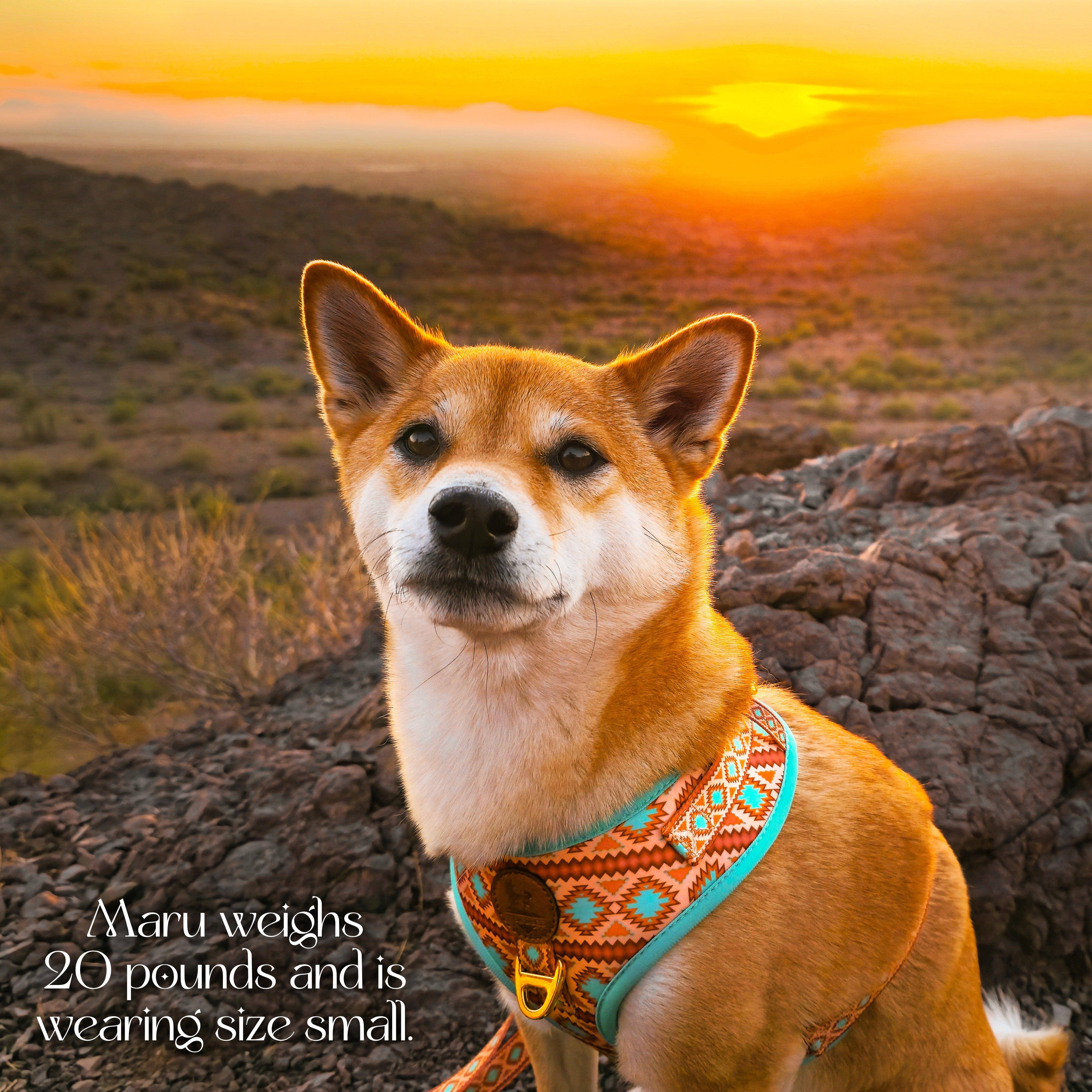 Wolfdoge - Wholesale Pet Harness - Dog - Southwest Spirit Harness5