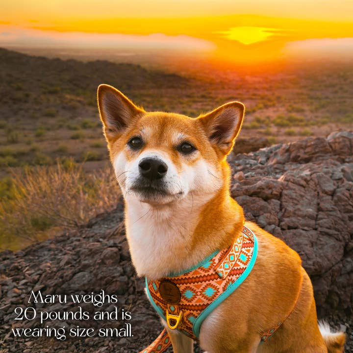 Wolfdoge – wholesale Pet harness – Dog – Southwest Spirit Harness5