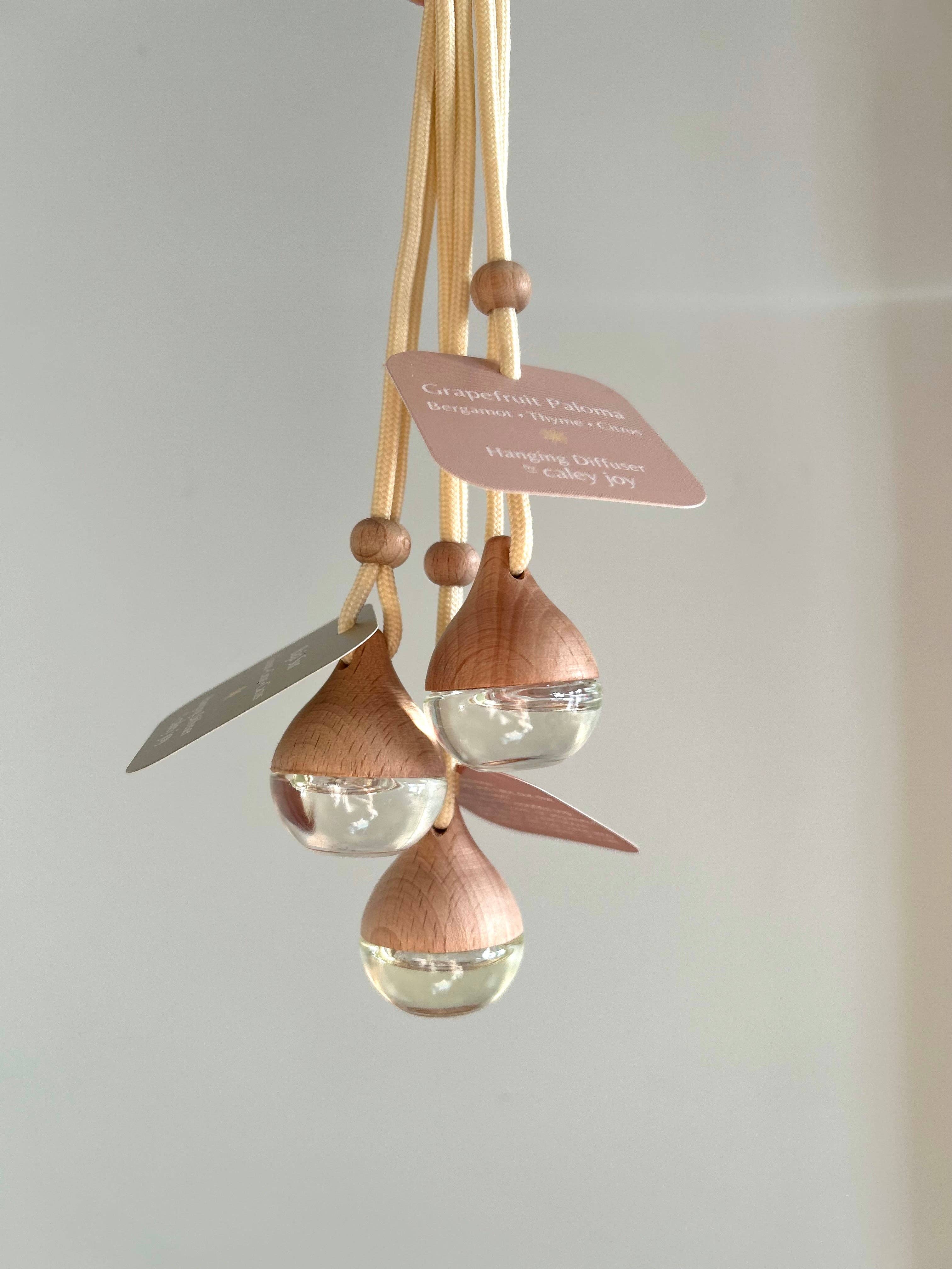 By Caley Joy - Wholesale Reed Diffuser - Hanging Car Diffusers | Baja Sur2