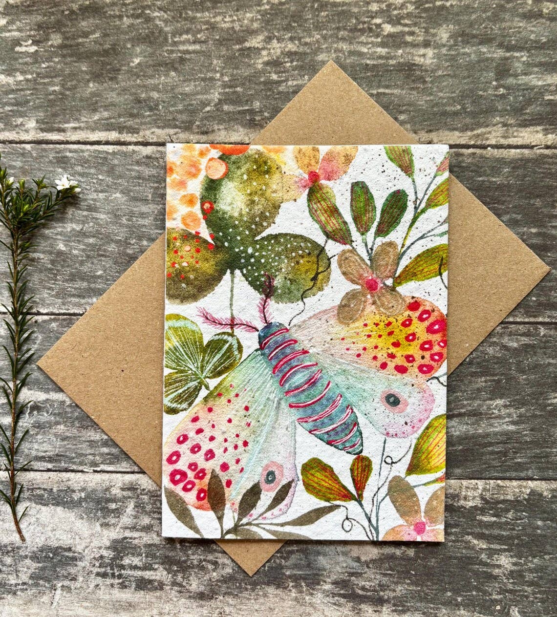 Erika's Whimsical Art – wholesale Birthday card – Plantable Seed Paper Birthday Moth Card, Blank Inside