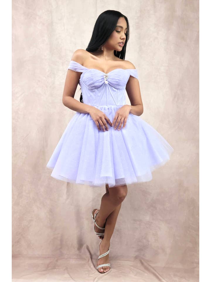 Chicas - Wholesale Dress - Women's - Short Off The Shoulder Tulle Dress With Brooch24
