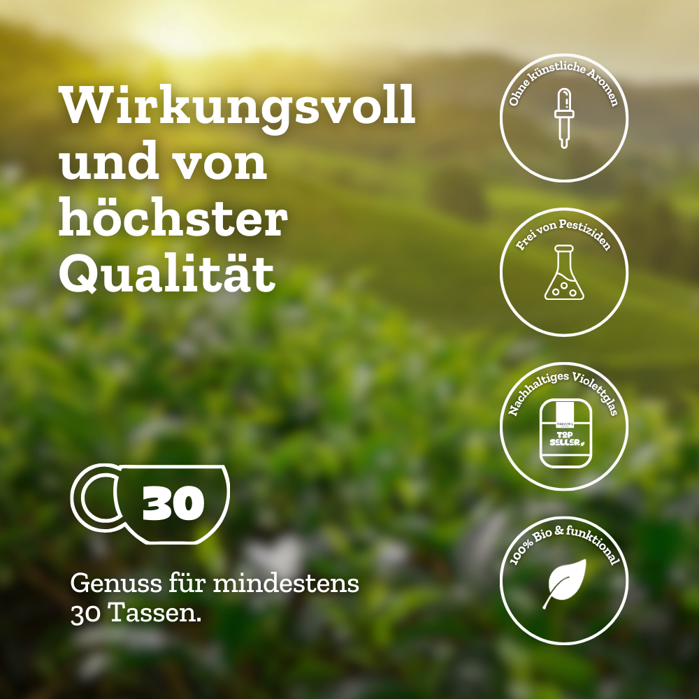 Urban Tea Factory - Wholesale Loose Tea - So Damn Pretty - green tea blend with guarana & rose petals - 50g - organic3