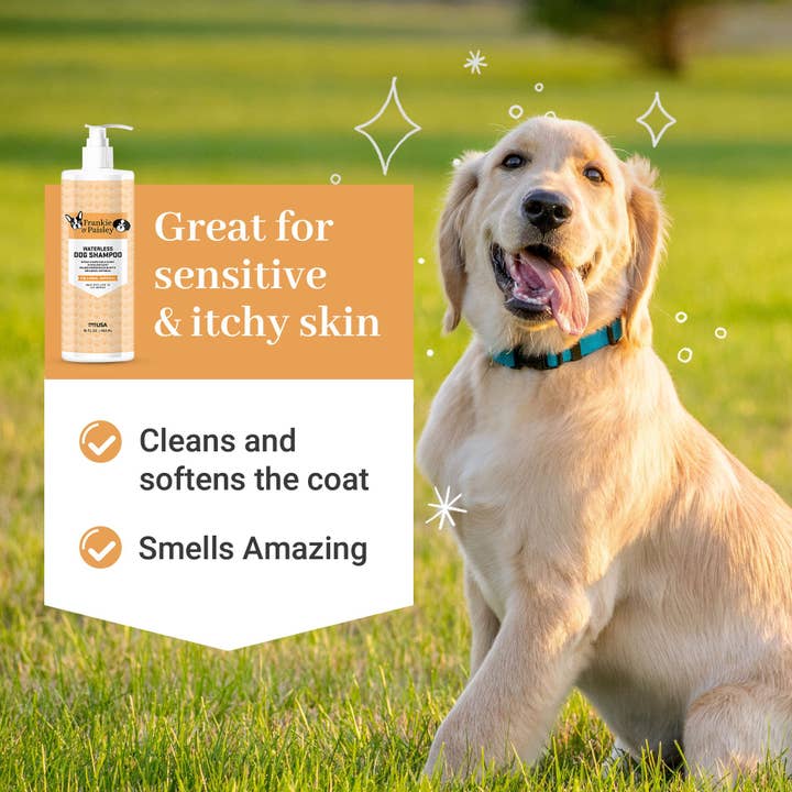 Frankie & Paisley Pet Products - Wholesale Pet Shampoo - Dog - Waterless Dog Shampoo - Colloidal Oatmeal - 16oz3