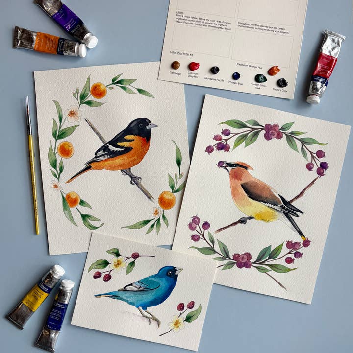 Emily Marie Watercolors - Wholesale DIY Craft Kit - Watercolor Painting Kit: Backyard Birds0
