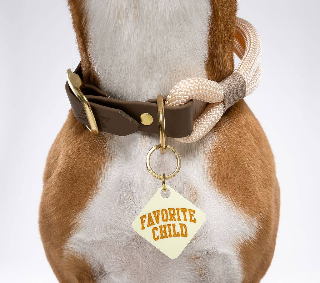 Freshwater Curated Goods - Wholesale Pet Identification Tag - Cat/Dog - Favorite Child Pet Tag1
